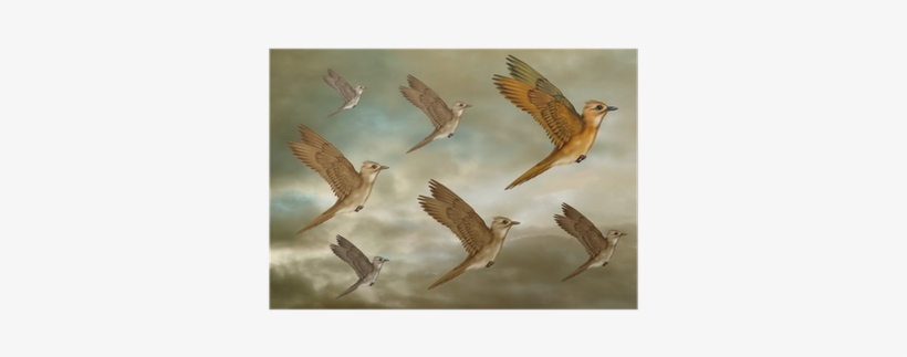 Journal Your Life's Story: Dreaming Of A Flock Of Birds, transparent png #562115