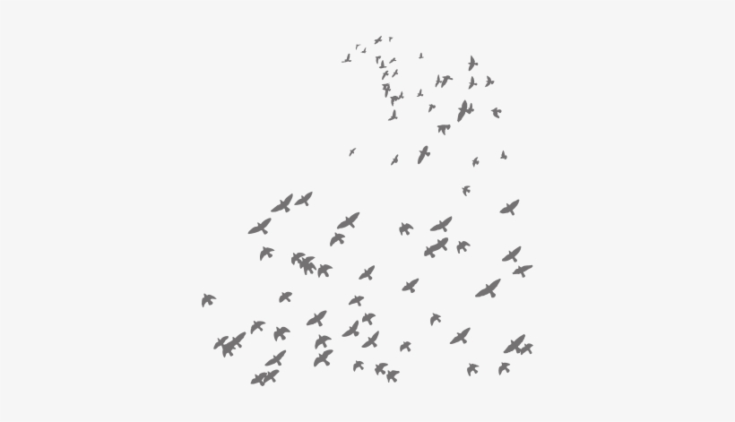 Contact Us - Flock, transparent png #562158