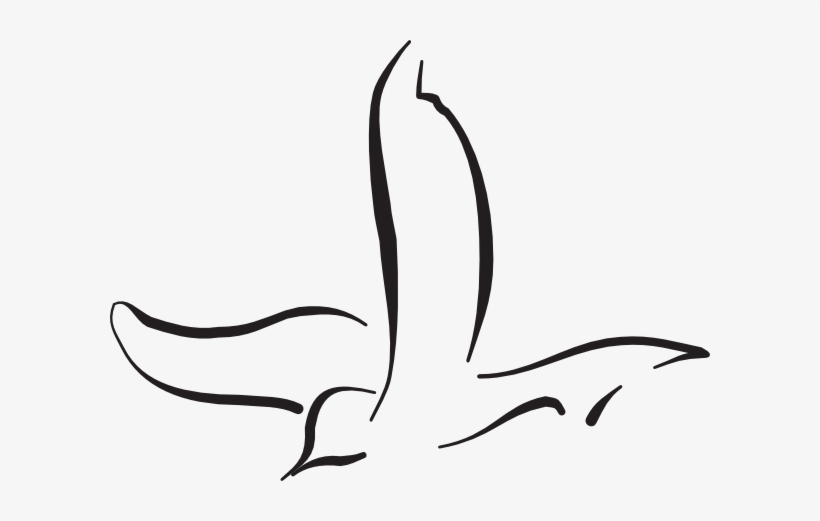 Flying Bird Art Clip Art At Clker - Flying Bird Line Drawing, transparent png #562317