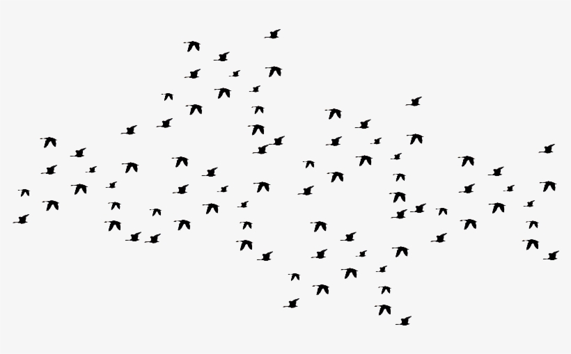 Flying Black Birds - Clip Art, transparent png #562319