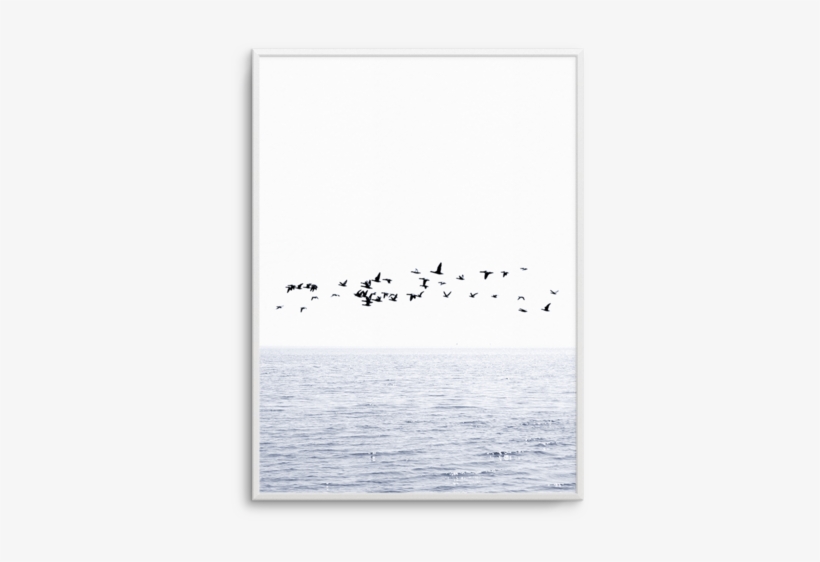 Atlantic Pt Atlantic Pt - Seabird, transparent png #562482