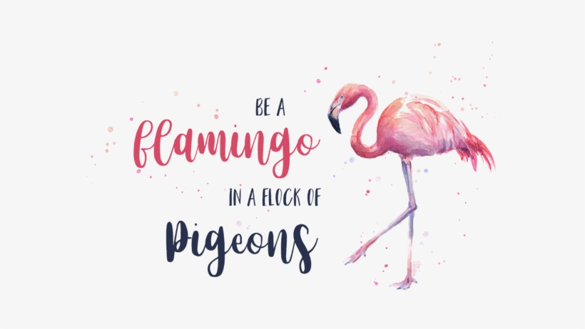 Click And Drag To Re-position The Image, If Desired - Flamingo In A Flock Of Pigeons Hd, transparent png #562565