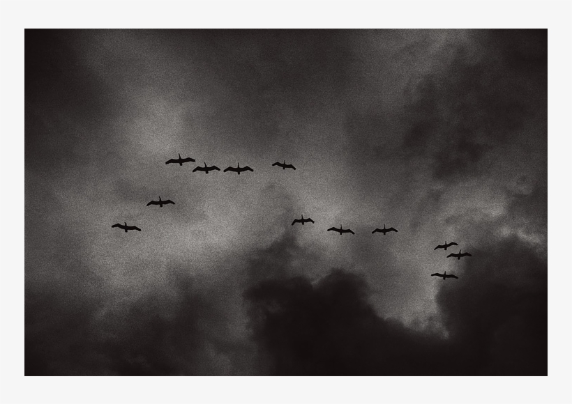 When The Bookkeeper Asked The Old Man A Question About - Monochrome, transparent png #562590