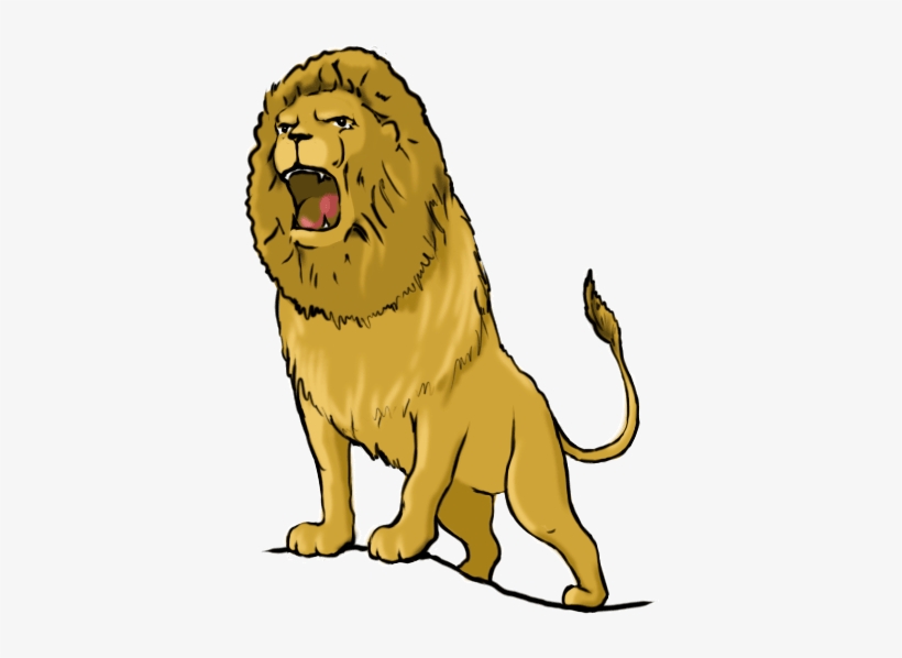 To Draw Lions And Tigers - Clip Art, transparent png #563825
