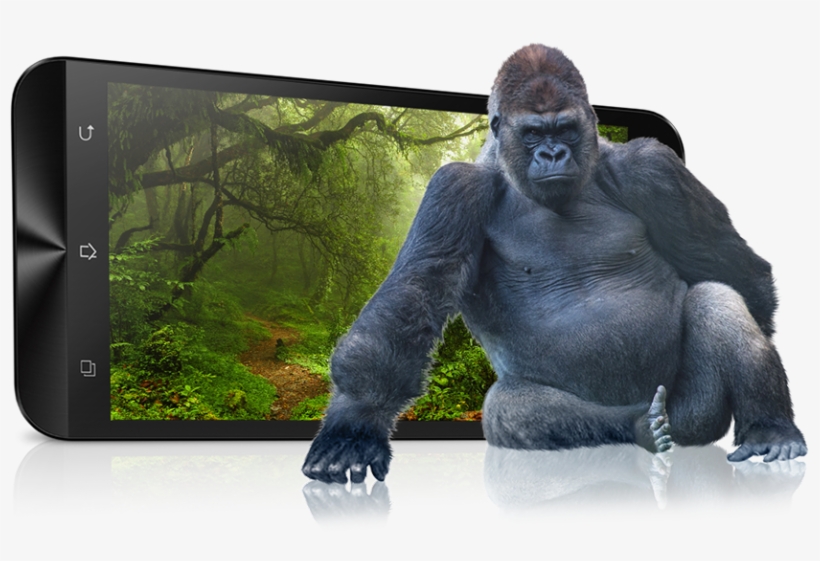 Stunningly Strong, Gorilla Strong - Asus Gorilla Glass 4, transparent png #564009