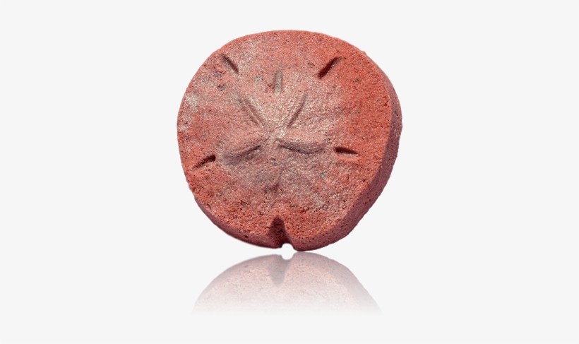 Sand Dollar - Chocolate Cake, transparent png #564182