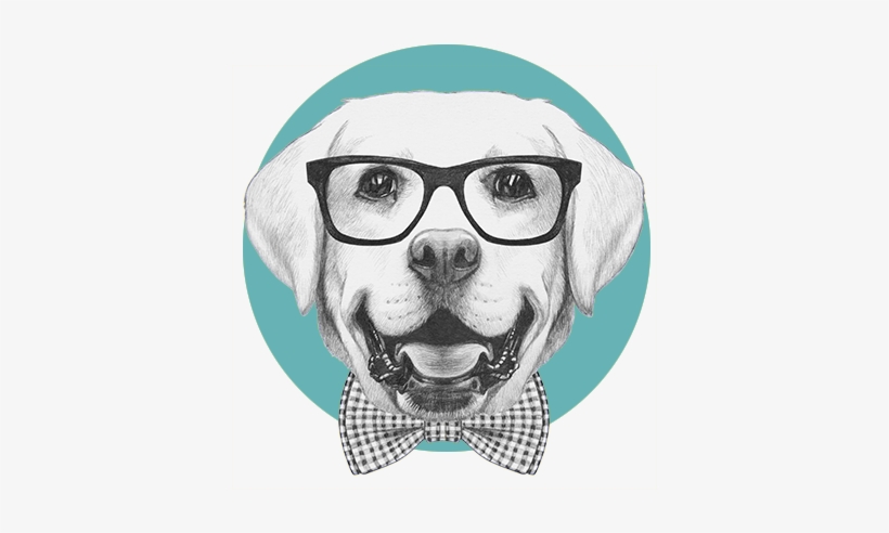 Groom Service Dogs Regina - Pets With Glasses Png, transparent png #564276