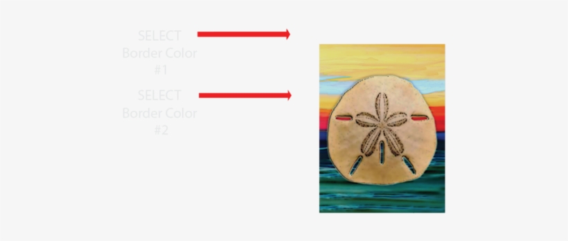 Sand Dollar, transparent png #564364