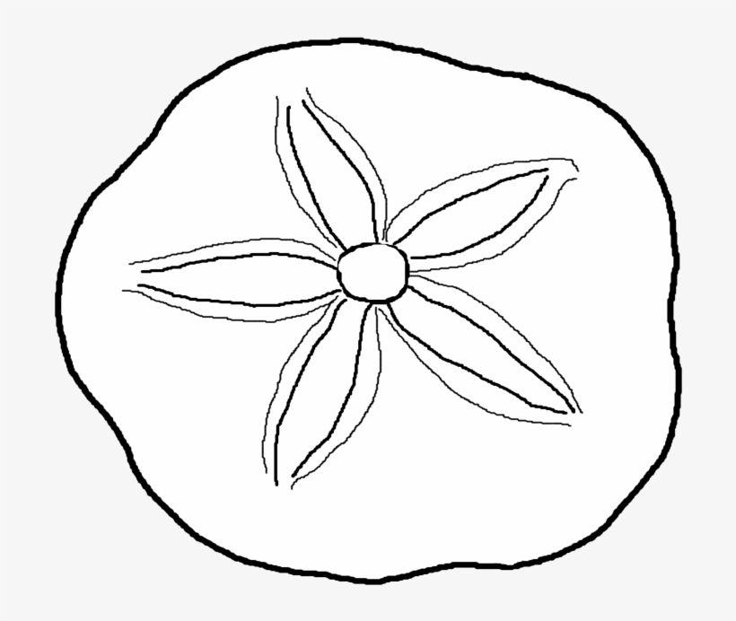 Clip Stock Dollar Coloring Pages Page - Sand Dollar Coloring Pages, transparent png #564431