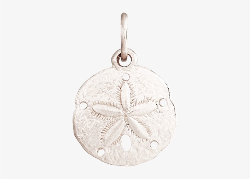 14k White Gold Sand Dollar Mini Charm, transparent png #564455