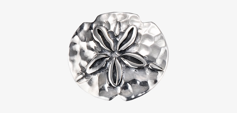 "sand Dollar" Slide Charm From Bonn Bons By Lori Bonn, transparent png #564475