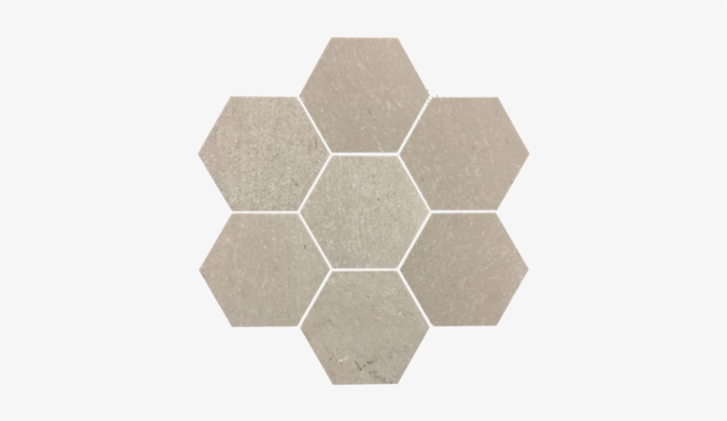 Sand Dollar - Brand Equity Measurement Model, transparent png #564753