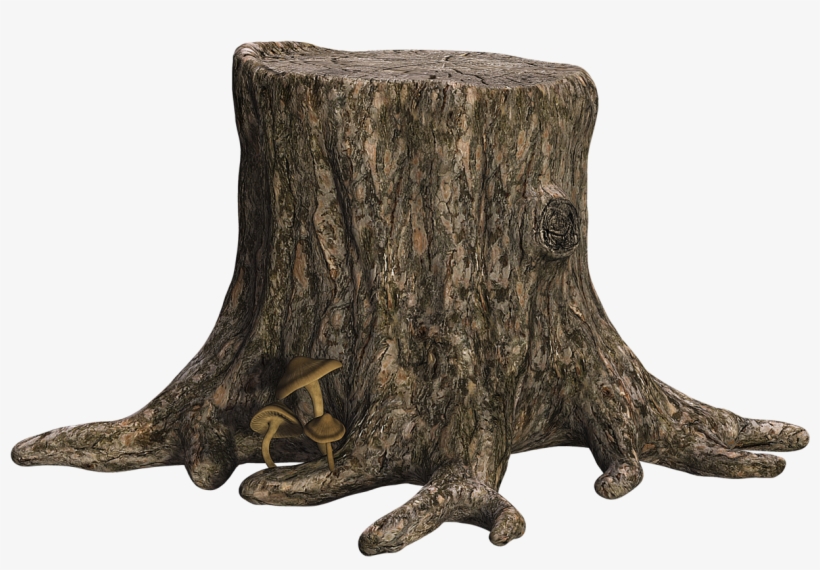 Tree Stump Png, transparent png #564785