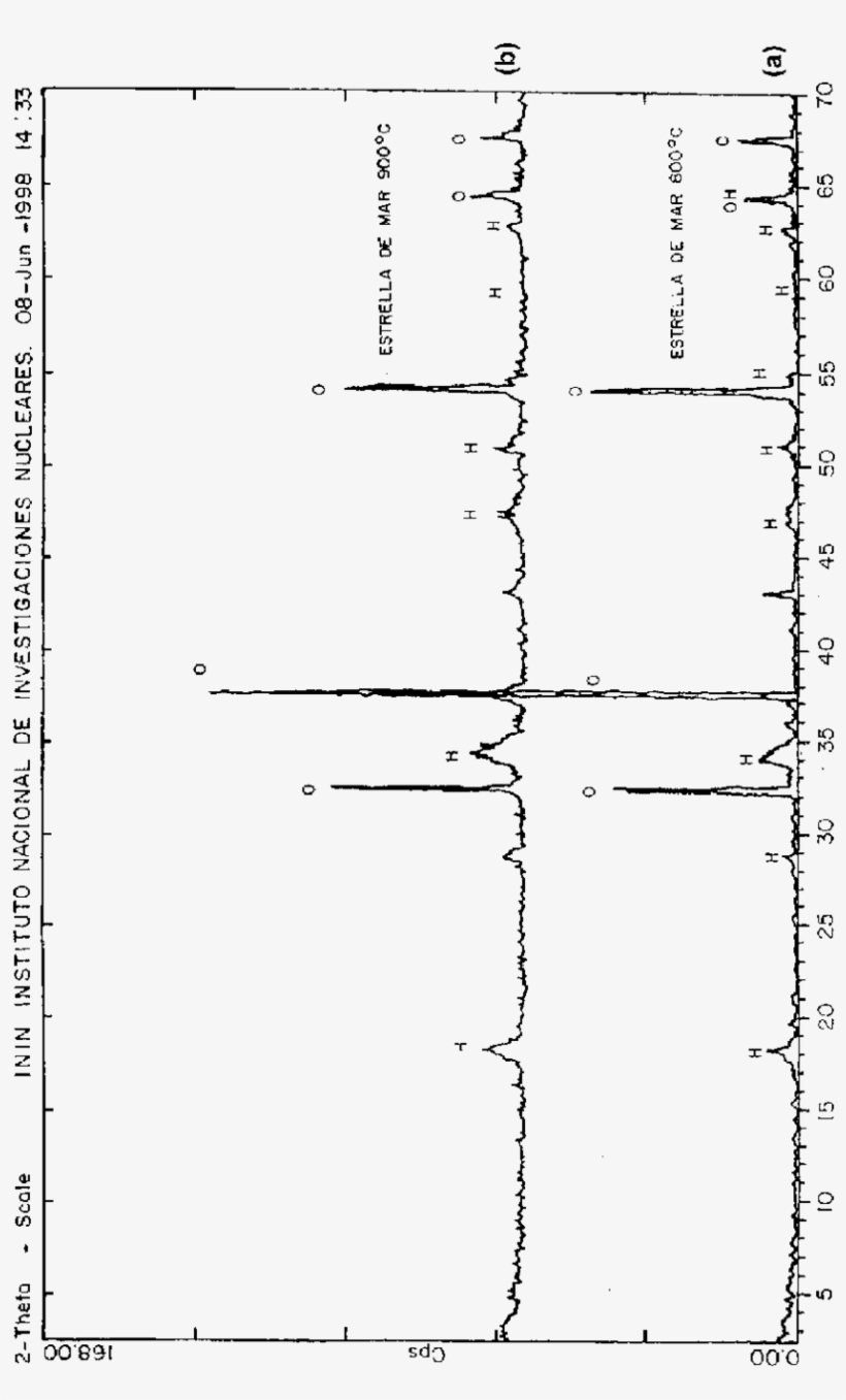Rd Spectra Of Sand-dollar Powder Heated To 8008c And - Document, transparent png #564851
