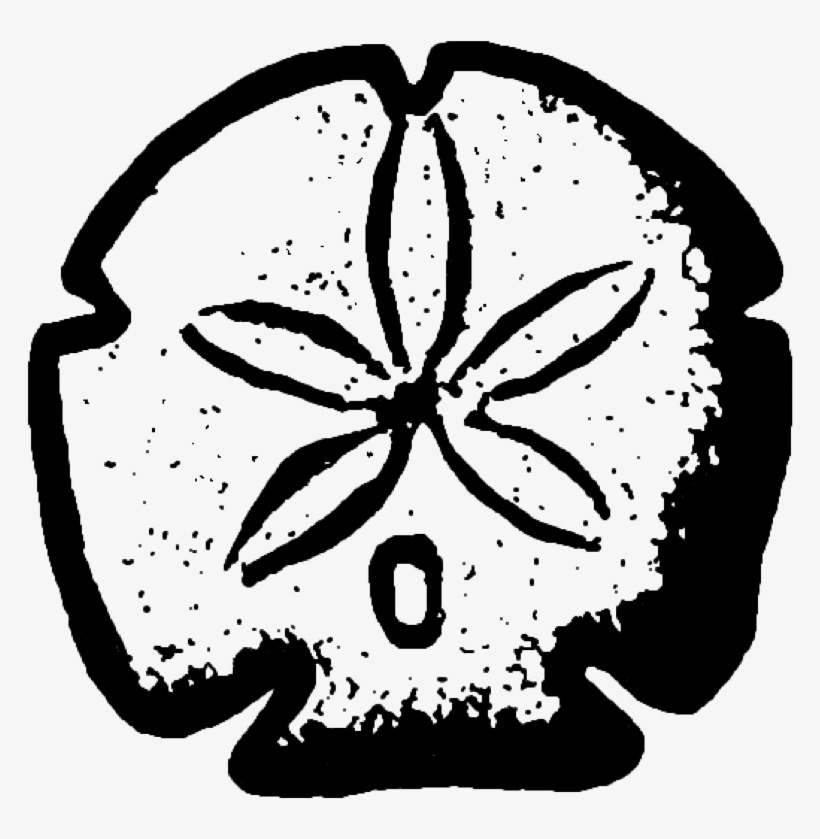 1sand Dollar, transparent png #564890