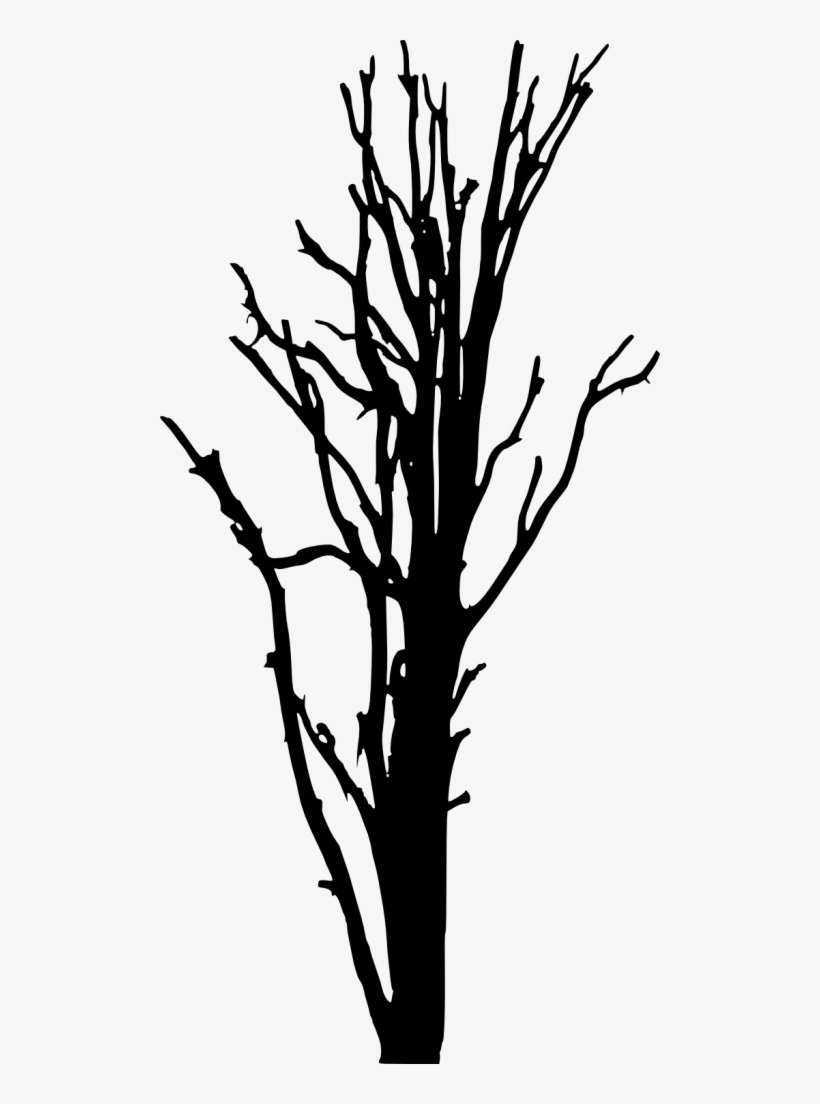 Png File Size - Portable Network Graphics, transparent png #564997