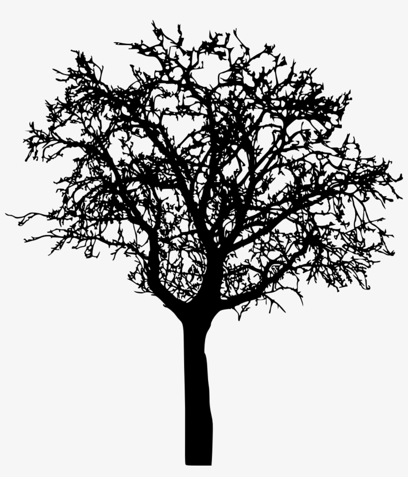 Png File Size, transparent png #564998