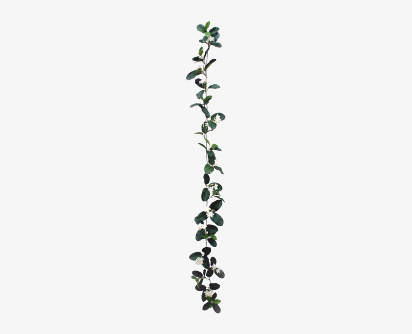 White Flower Garland Png - Flower, transparent png #565329