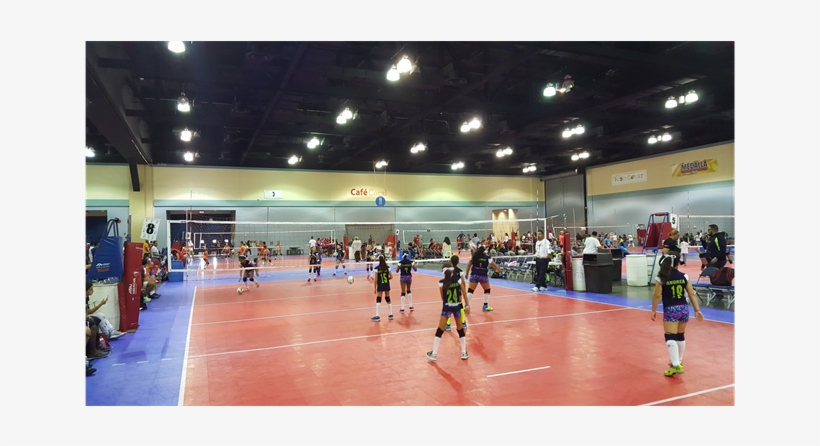 Dynamite Volleyball Club Tampa, transparent png #565355