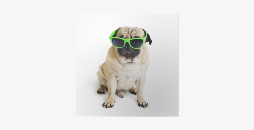 Photograph, transparent png #565447
