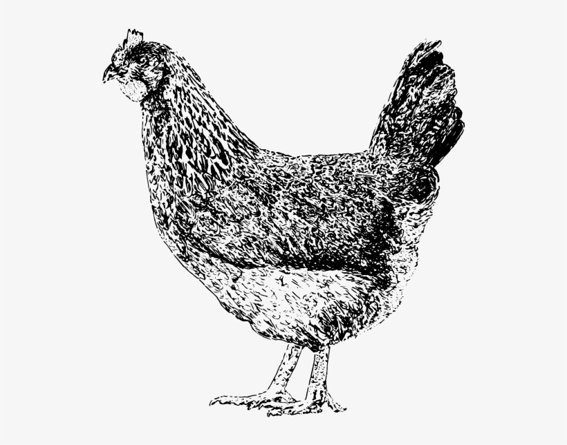 Keep In Touch - Rooster, transparent png #565760