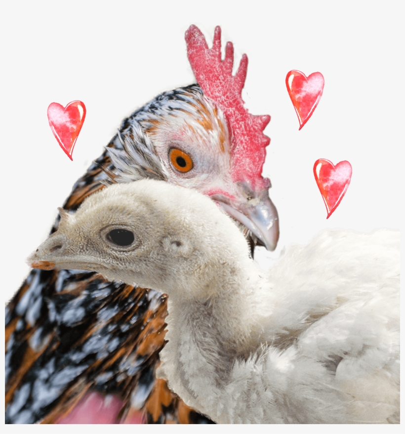 Be A Fierce Millie - Child, transparent png #565796