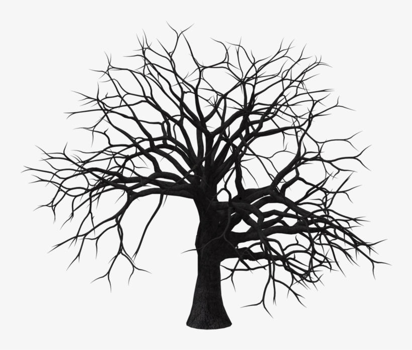 Branch Drawing Tree Trunk - Seca Arvore Preto E Branco, transparent png #566159