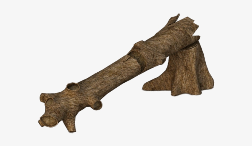 Fallen Tree Trunk - Wood, transparent png #566701