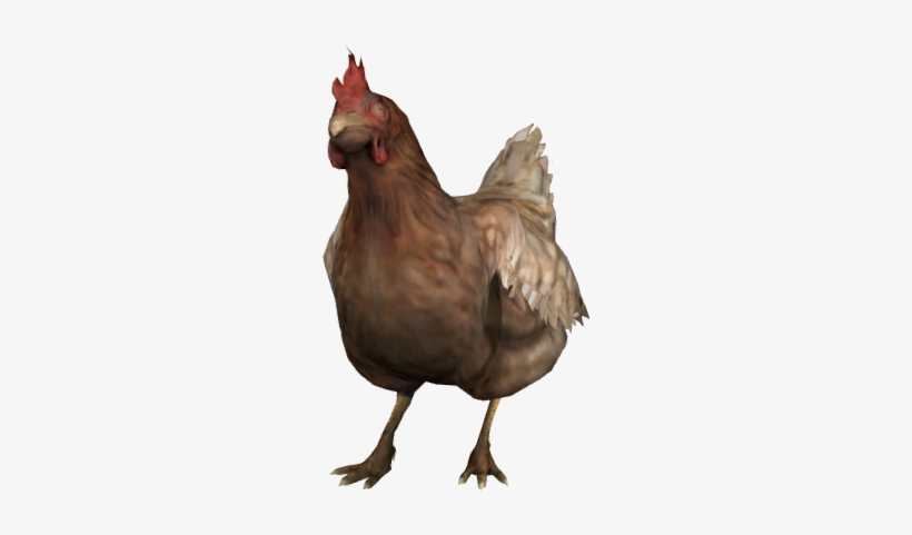 White Hen Png Image - Counter Strike Chicken Png, transparent png #566768