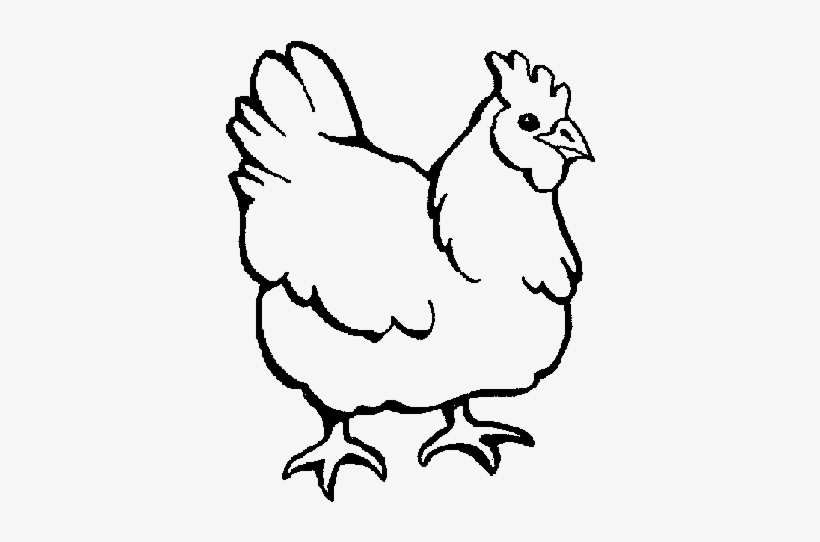 Coloring Picture Of Chicken, transparent png #566797