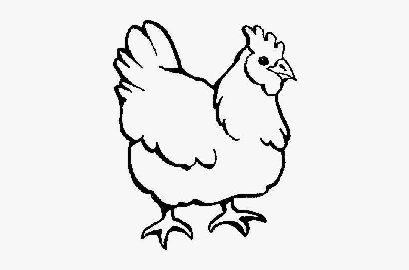 Coloring Picture Of Chicken, transparent png #566797