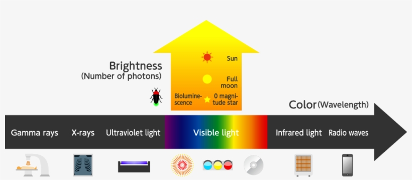 State Of Light - Light Wavelength Png, transparent png #566917