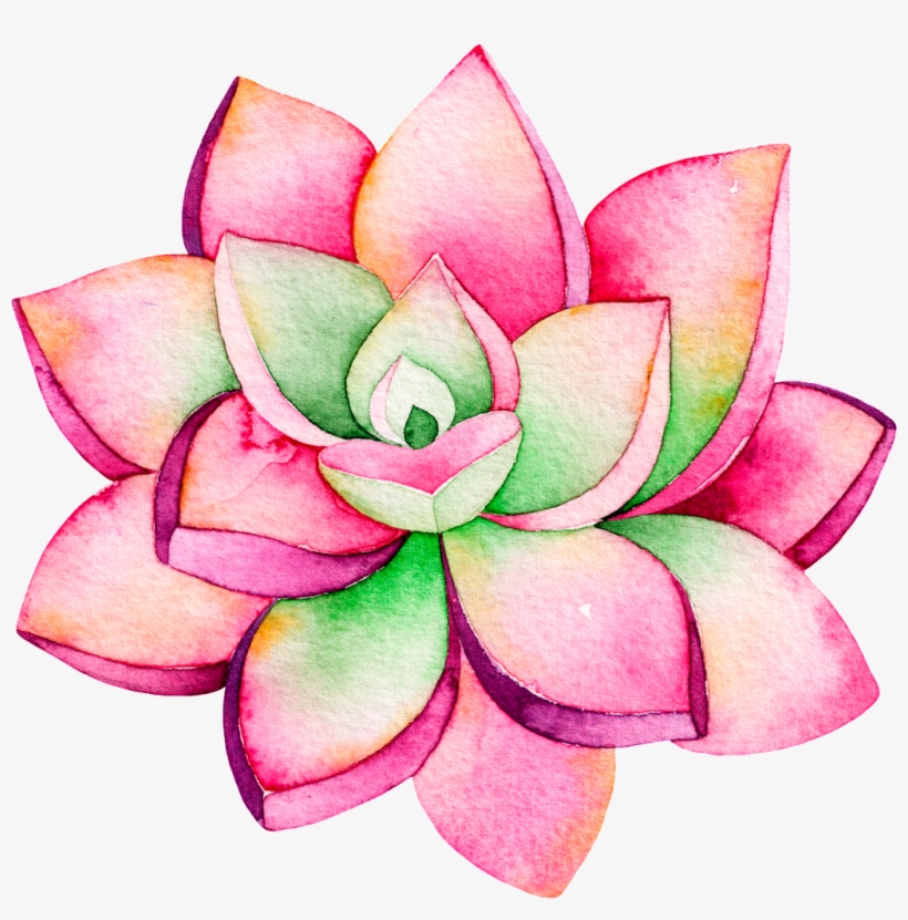 This Backgrounds Is Pink Fashion Lotus Cartoon Transparent - Succulents Free Clip Arts, transparent png #567551