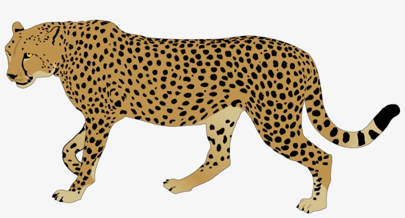 Cheetah Clipart - Clipart Image Of Cheetah, transparent png #569512