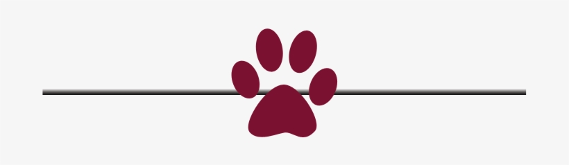 Paw-divider - Circle, transparent png #569679