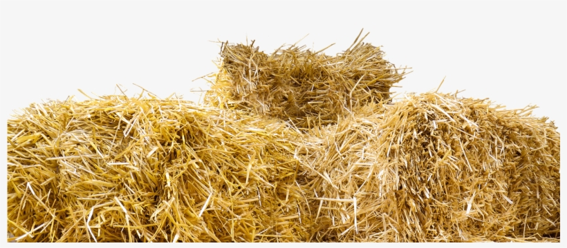 Top Of Straw Bales - Bale Of Hay Png, transparent png #569763