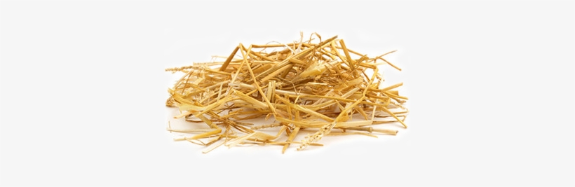 Png Hay Transparent Hay - Needle In The Haystack, transparent png #569869