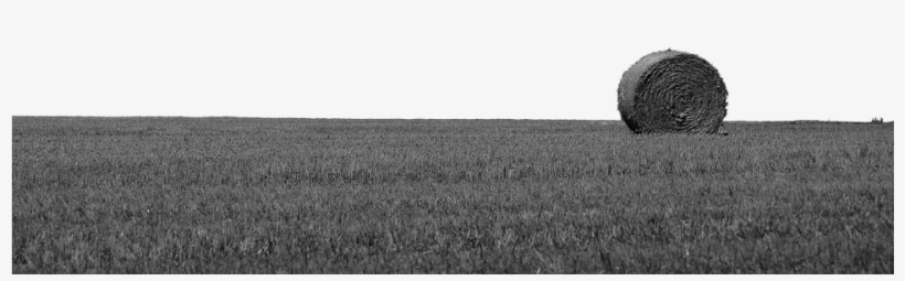 Straw, transparent png #569973