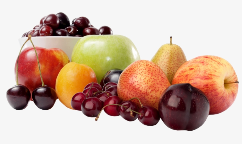 Vector Free Download Bringing Fresh To You Oneonta - Private Company Limited By Shares, transparent png #5601769