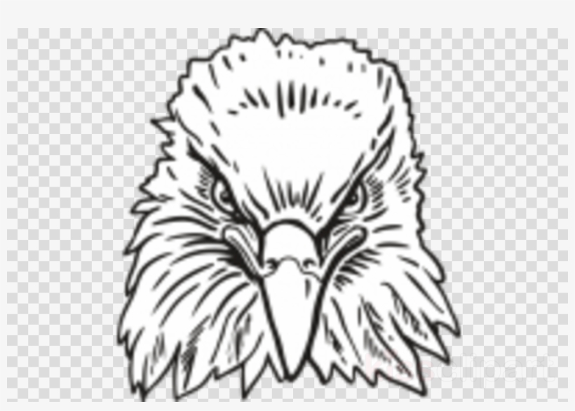 Eagle Head Front Drawing Clipart Bald Eagle Clip Art - Wrigley Field, transparent png #5602108