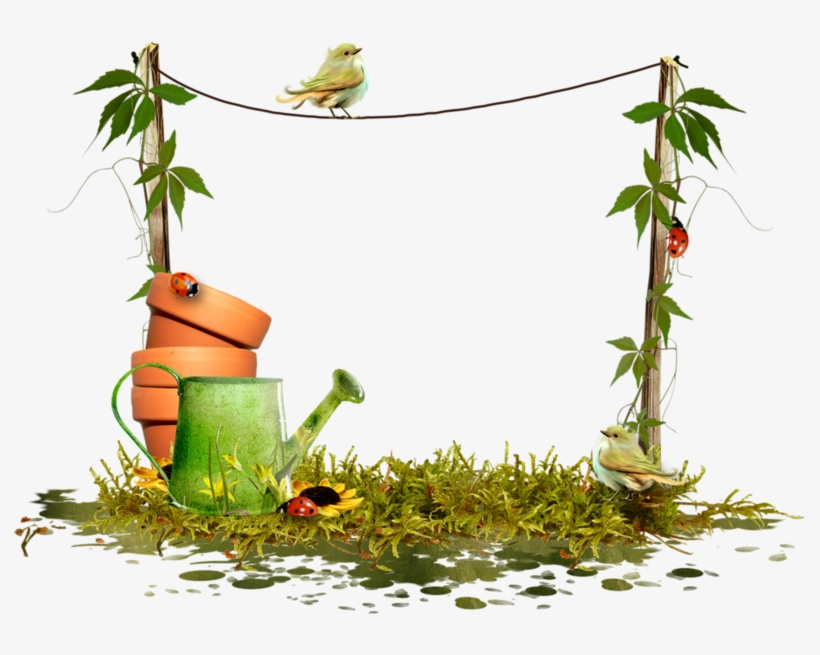 Forgetmenot Cluster Decoupage Frames Tags Pinterest - Frame, transparent png #5602110