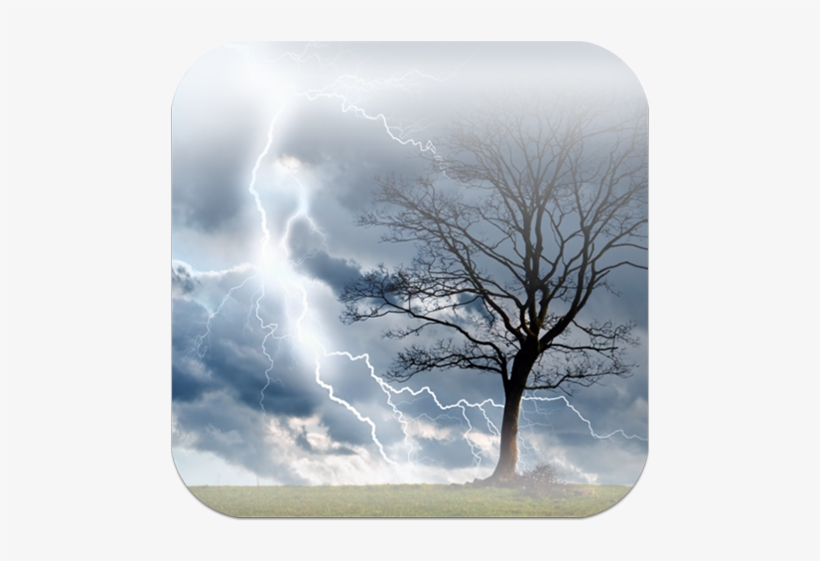 Tree Storm Journal: Blank 200 Page Journal [book], transparent png #5604298