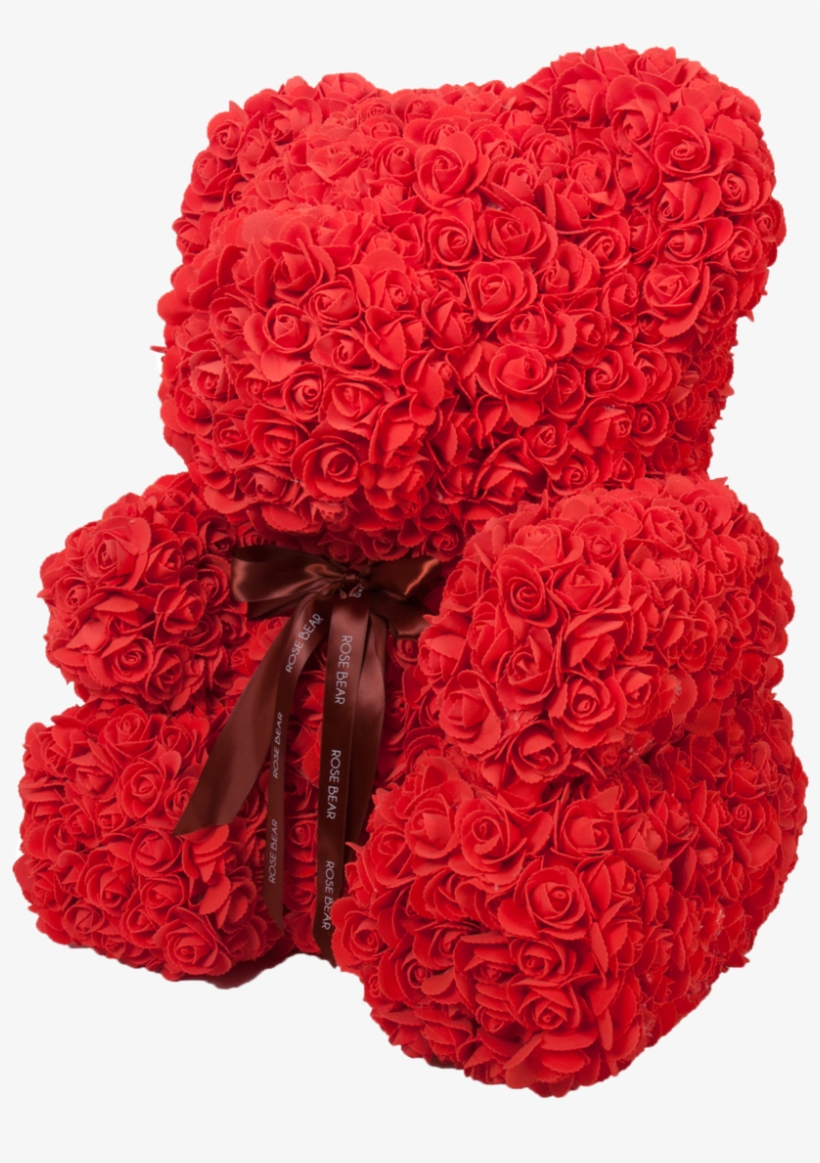 Bear, transparent png #5604849