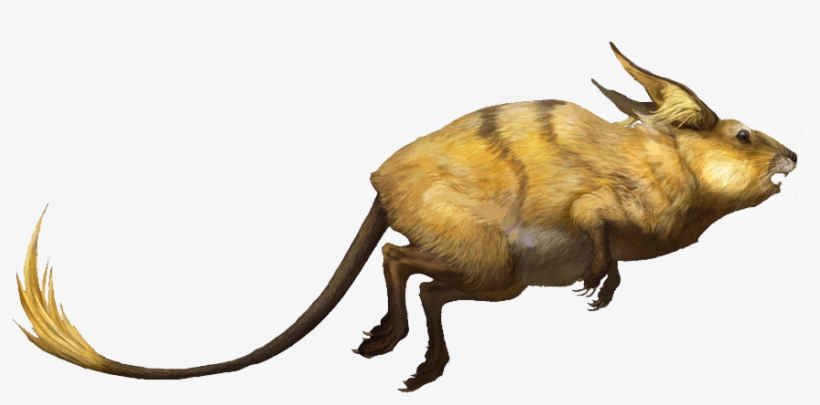 Raichu Rj - Raichu Maschio E Femmina, transparent png #5606090