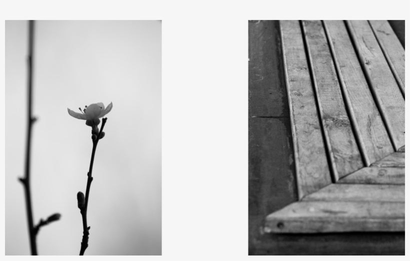 Картина12 Картина13 Картина14 Картина15 Картина16 - Monochrome, transparent png #5606551