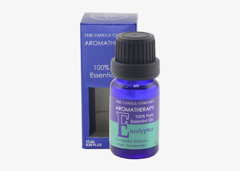 Eucalyptus Essential Oil 10ml - Fragrance Oil, transparent png #5606933