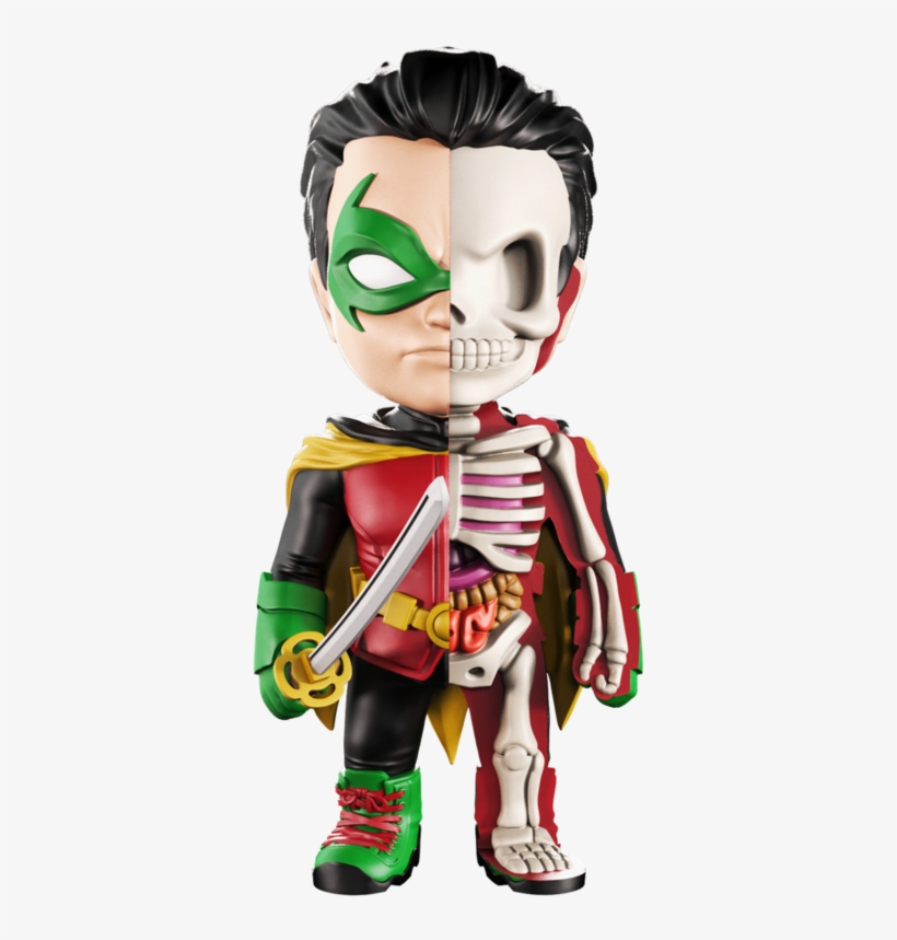 Xxray Robin, transparent png #5608225