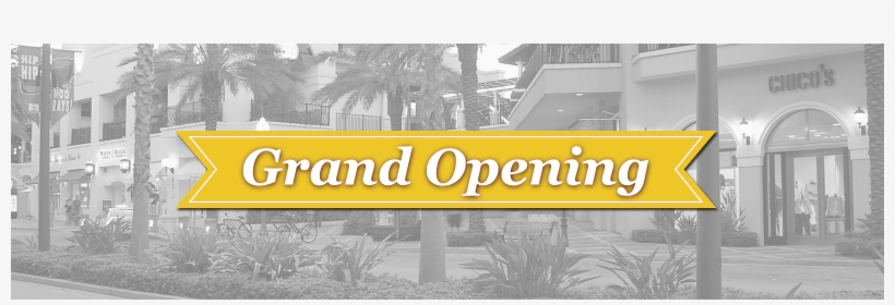 Grand Opening Parking Services St Petersburg, Fl, transparent png #5608682