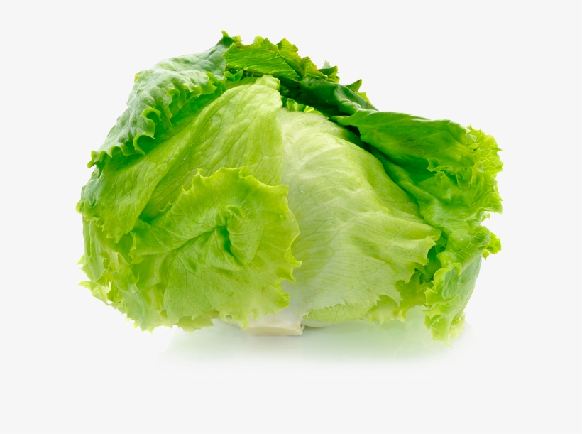 Category - Айсберг Салат Цена, transparent png #5610561