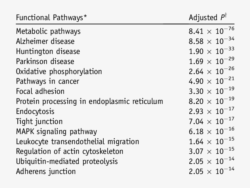 Enriched Functional Pathways Mapping To Differentially - Thp-1 Cell Line, transparent png #5613748